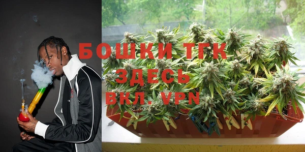 бошки Алексин