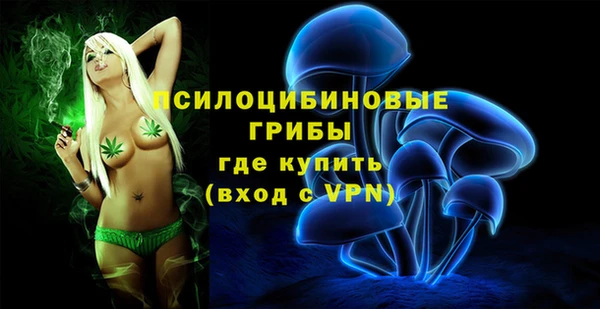 мяу мяу мука Абдулино